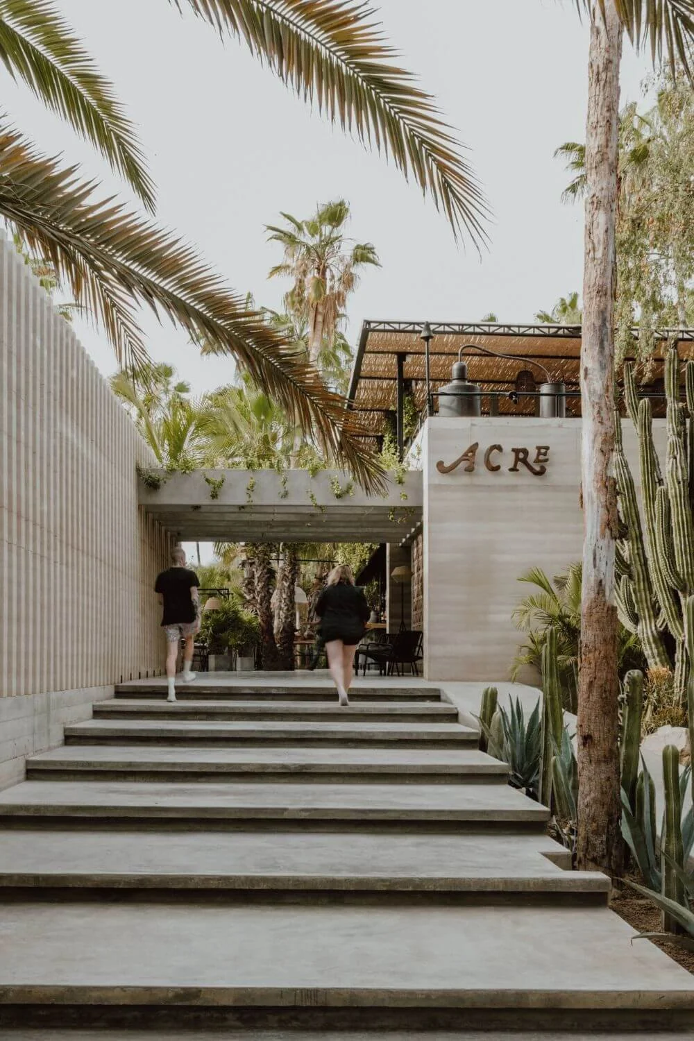 San Jose del Cabo vs Cabo San Lucas | A Guide