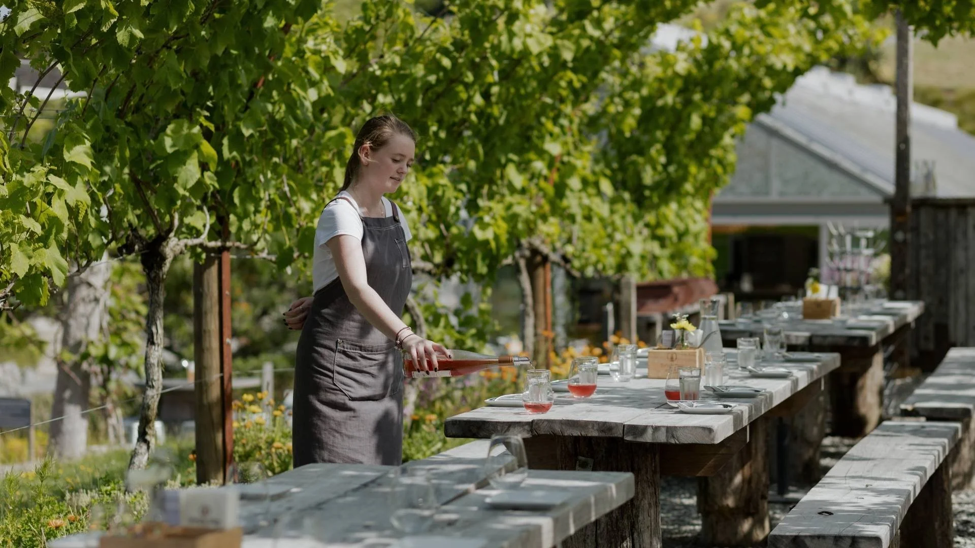 Aucklands best day trips