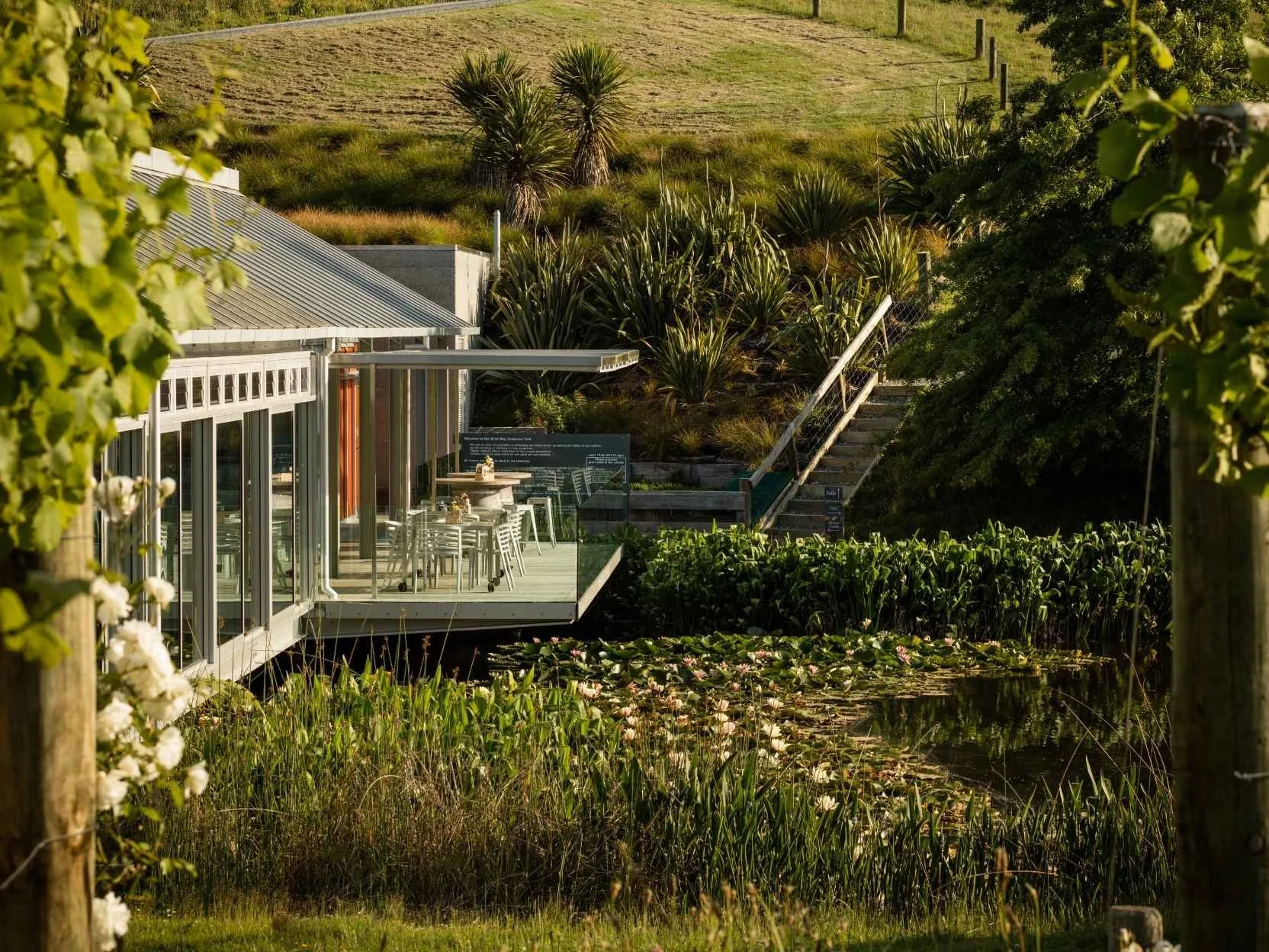 where to eat stay and play in Auckland, New Zealand