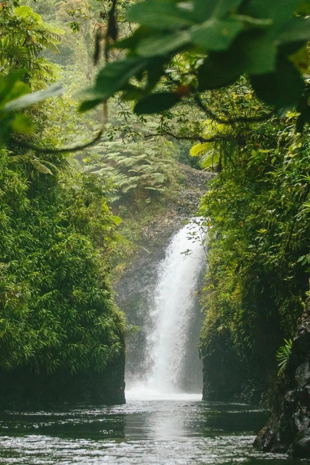 fiji's best resorts - The Remote Resort