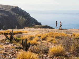 San Jose del Cabo vs Cabo San Lucas | A Guide