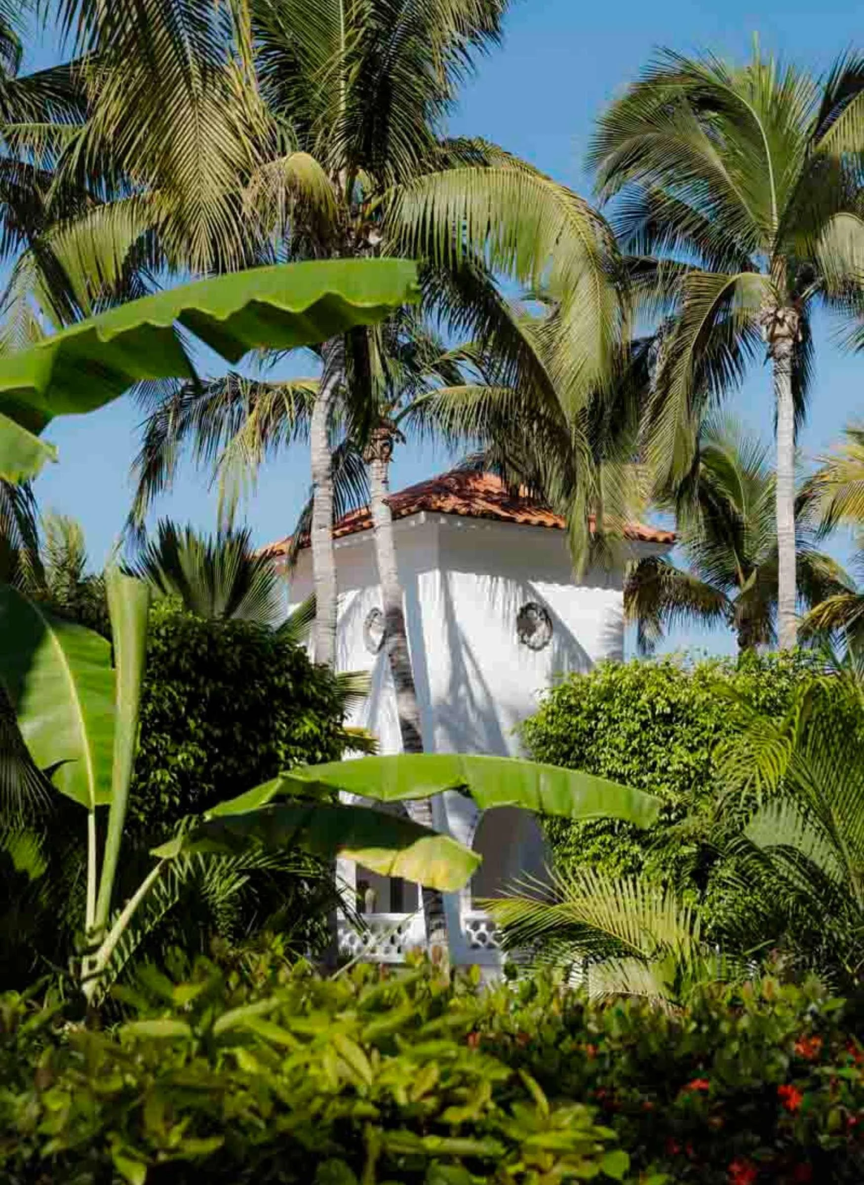 The Best Places to Stay in Palmilla, Los Cabo