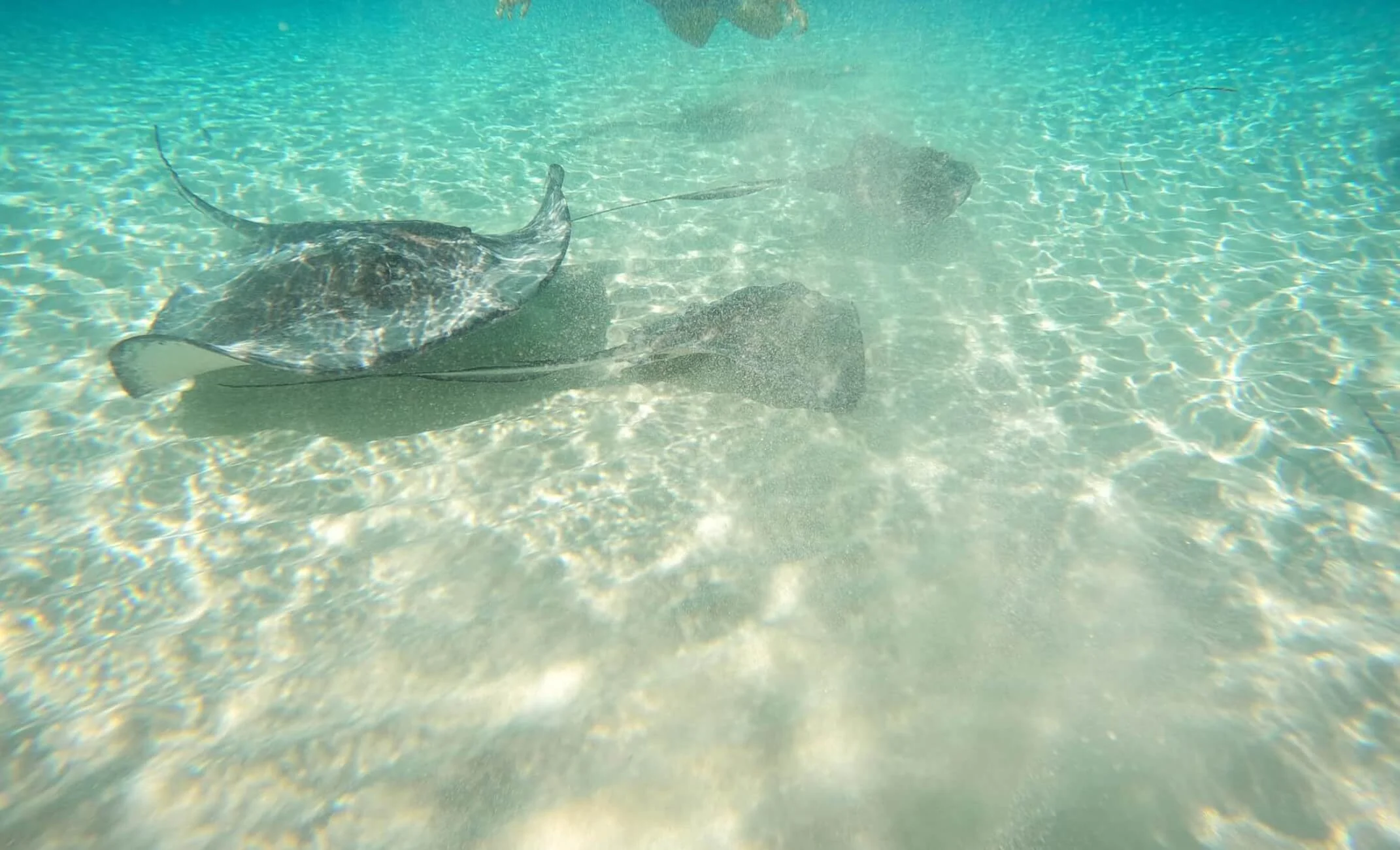 Is El Cielo Mexico’s most beautiful snorkeling destination?
