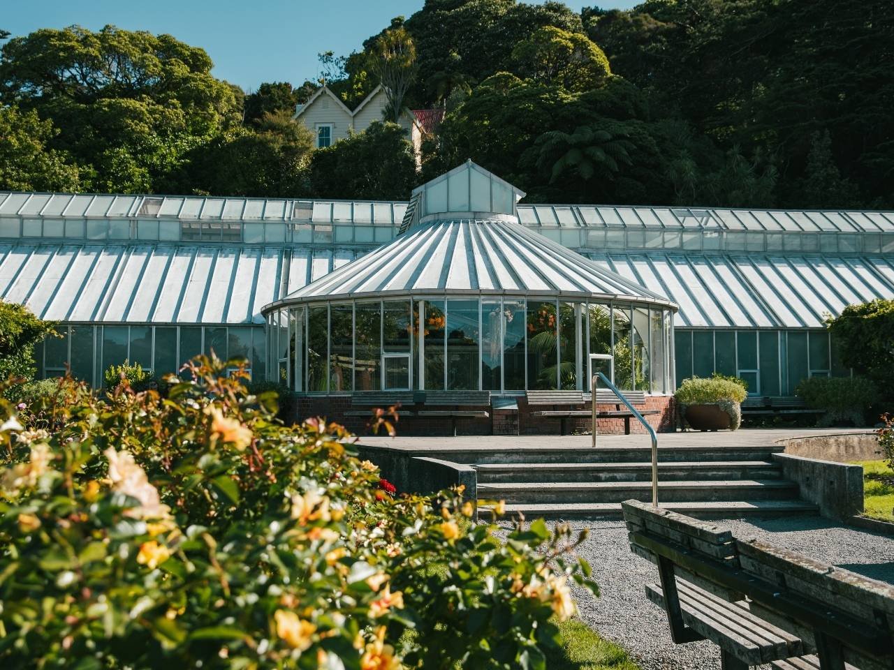 Wellington 3 day itinerary - Botanical Gardens