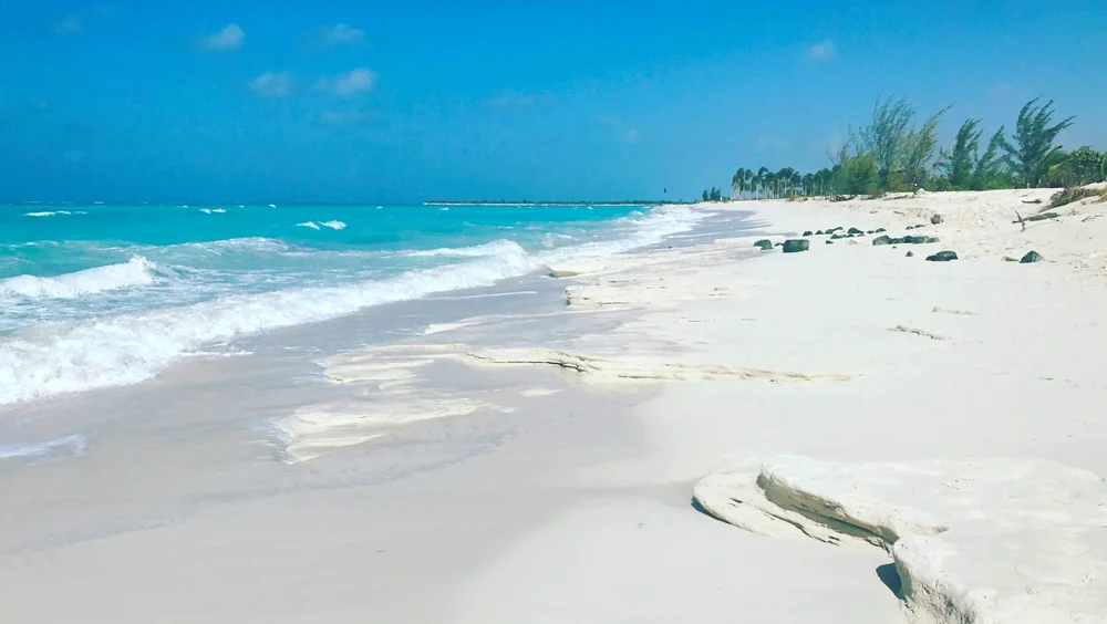 What Is The Best Island In The Caribbean | Detroit Chinatown What Is The Best Island In The Caribbean | Detroit Chinatown