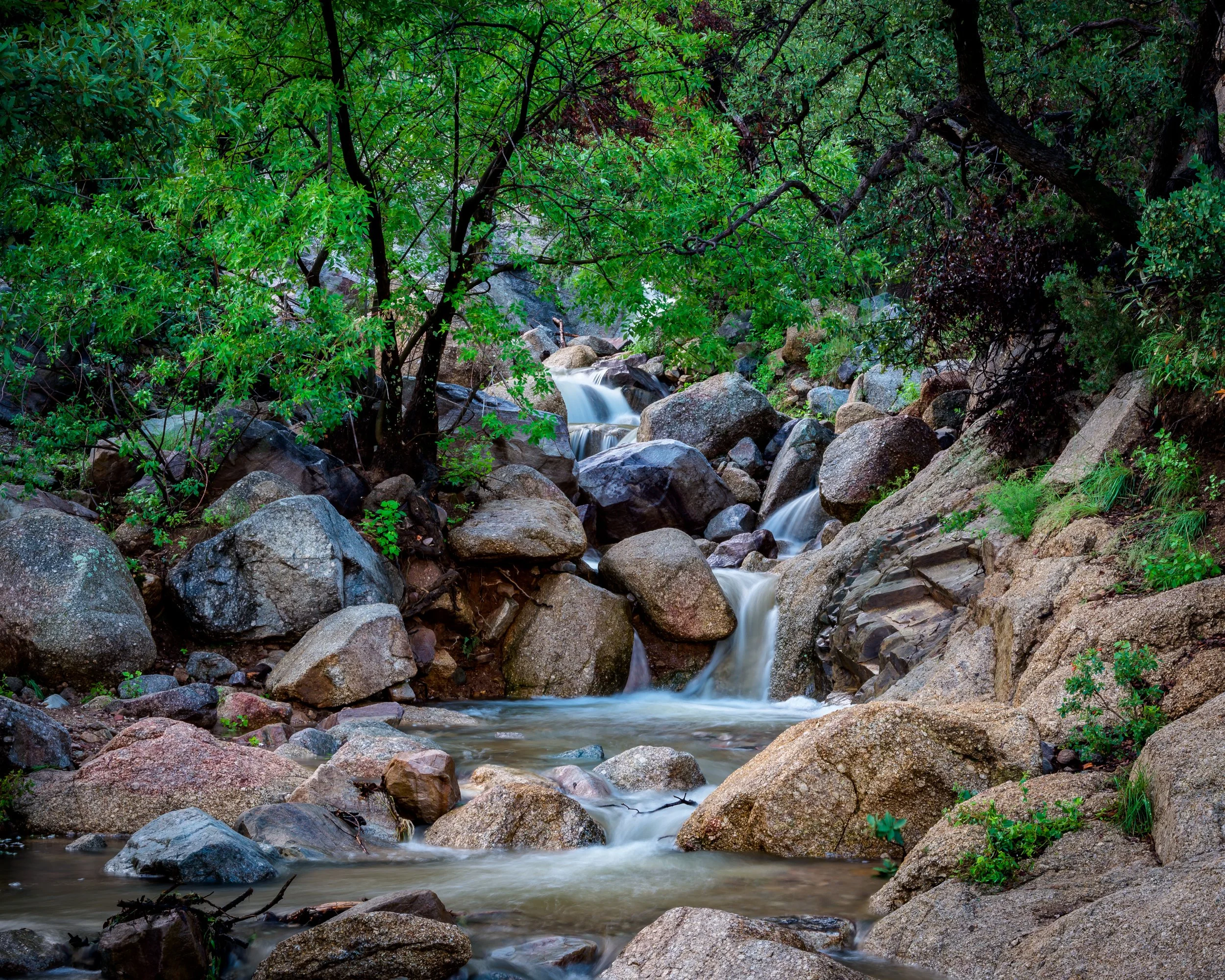 Carr Canyon-1.jpg