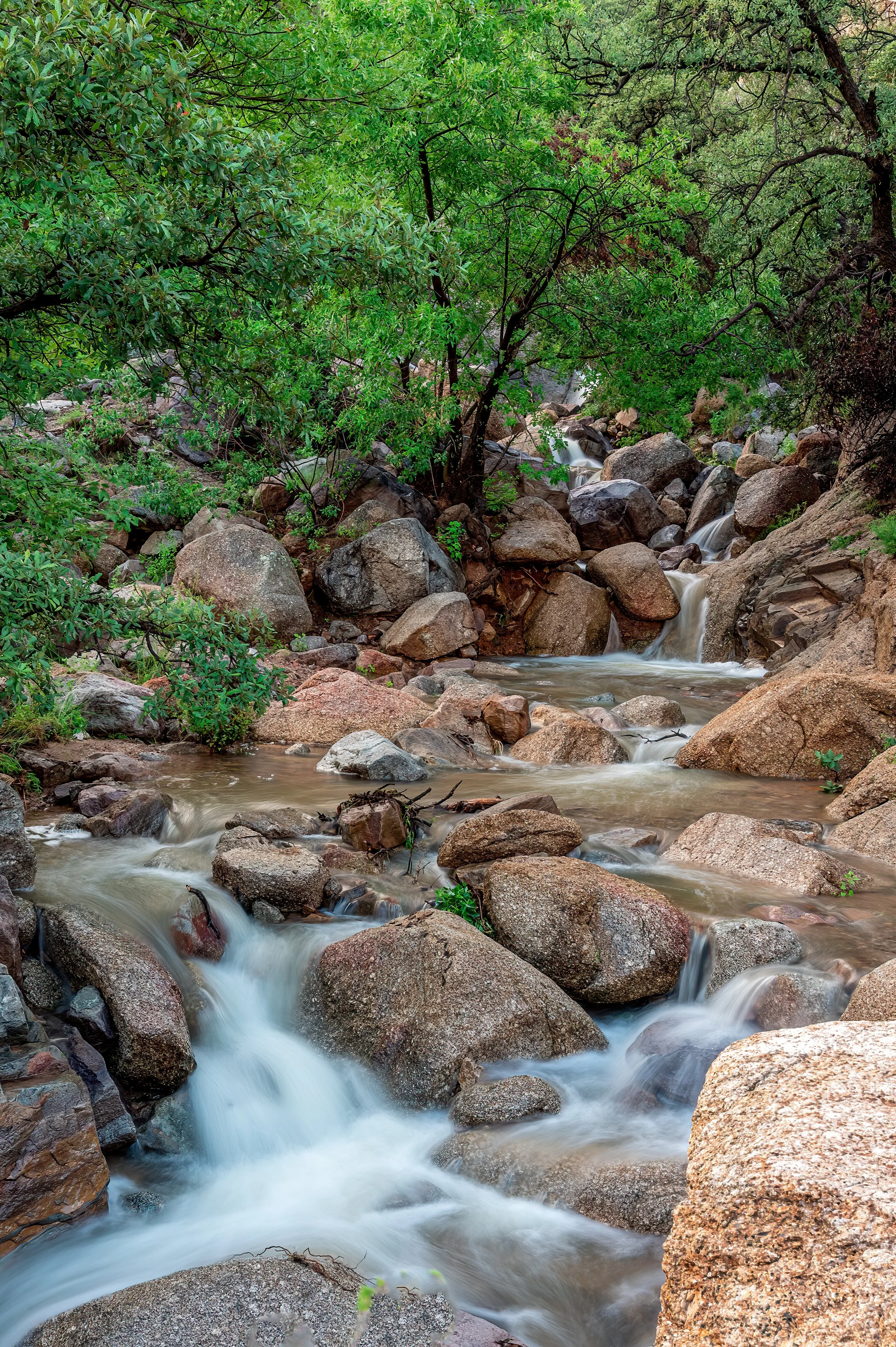 Carr Canyon 20Mb-4.jpg