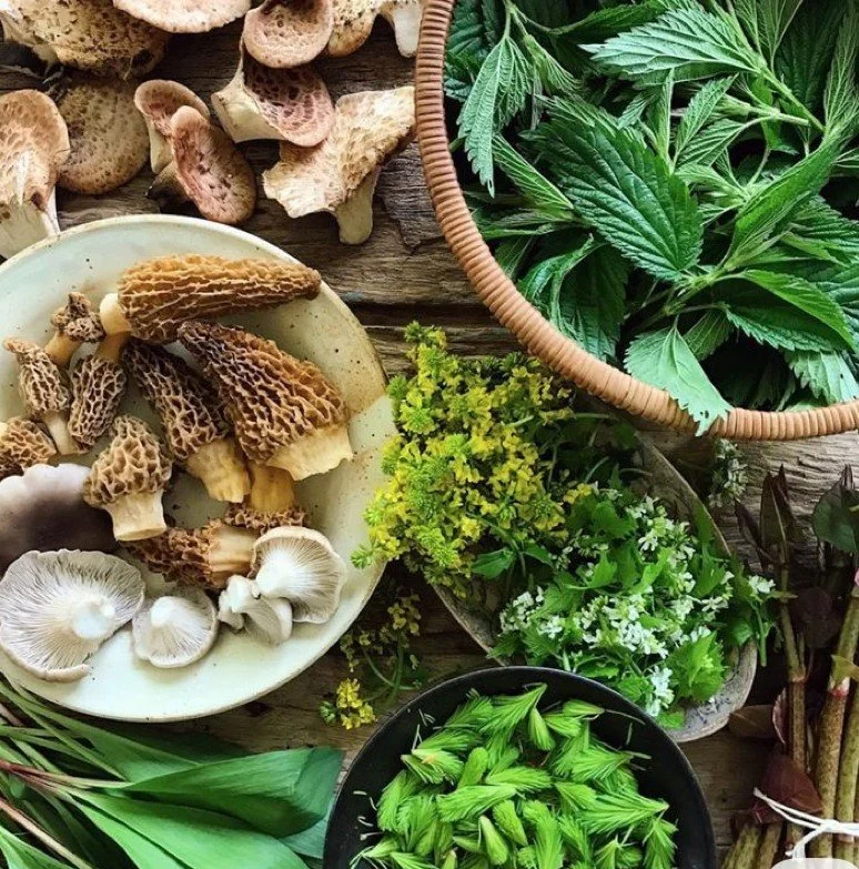 A variety of edible mushrooms, fresh herbs, and leafy greens arranged on a rustic wooden table.