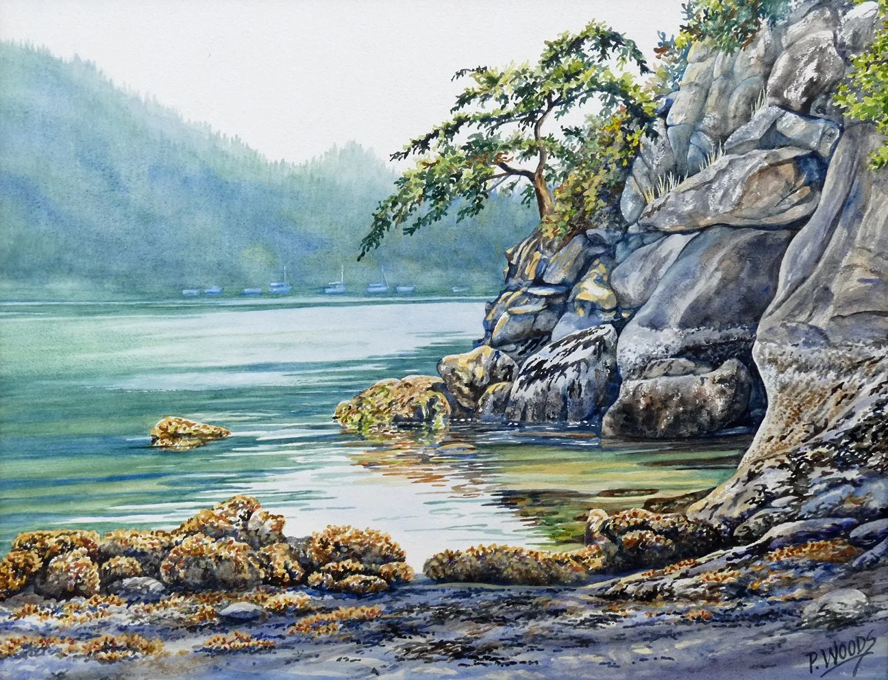Chuckanut Island, 19 x 25 watercolor, $2160