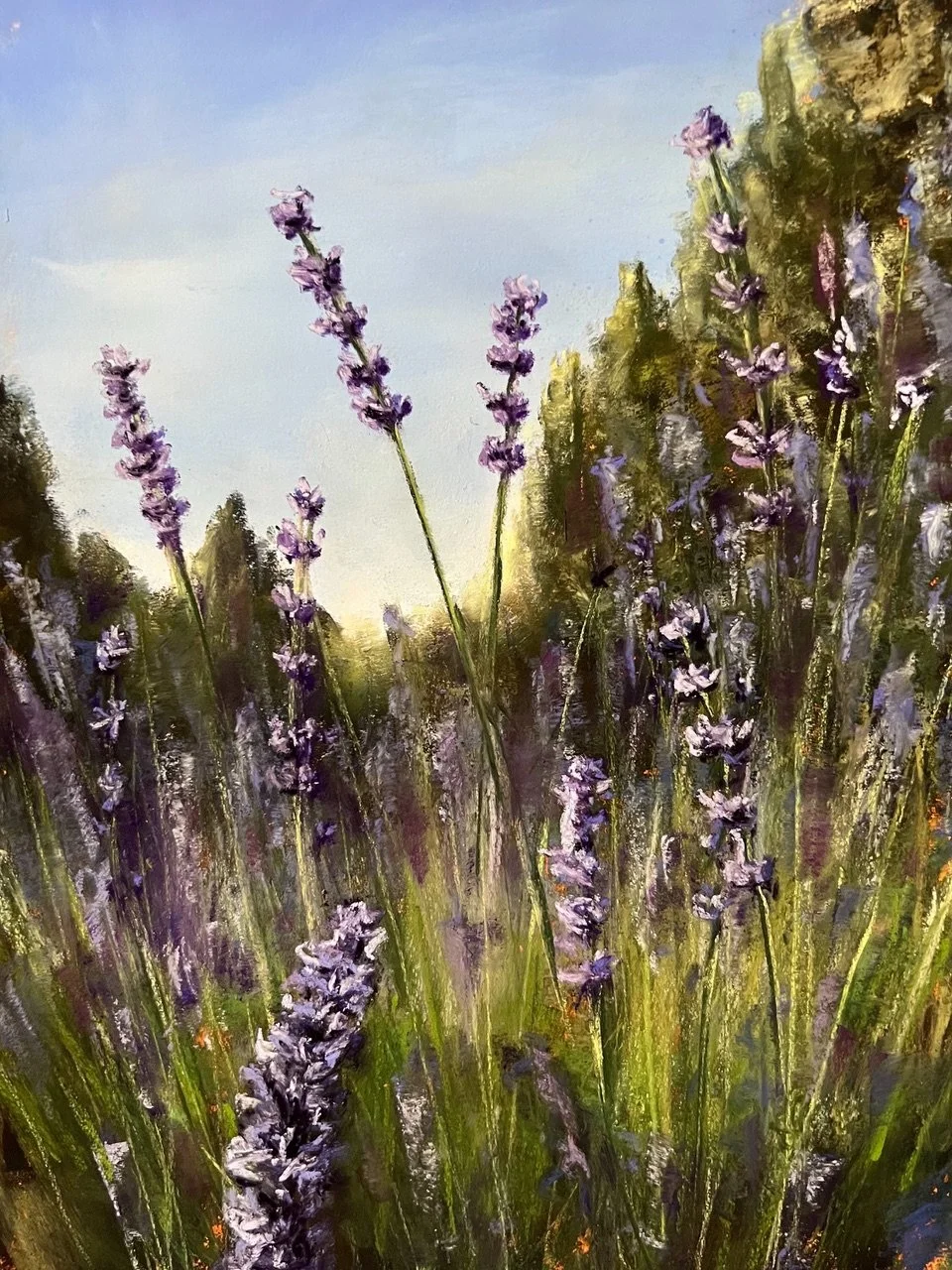 Purple Haze, 19x16 pastel, $540