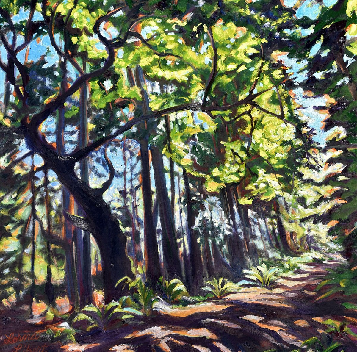 Cypress in the Spring, 36 x 36 oil, $2600
