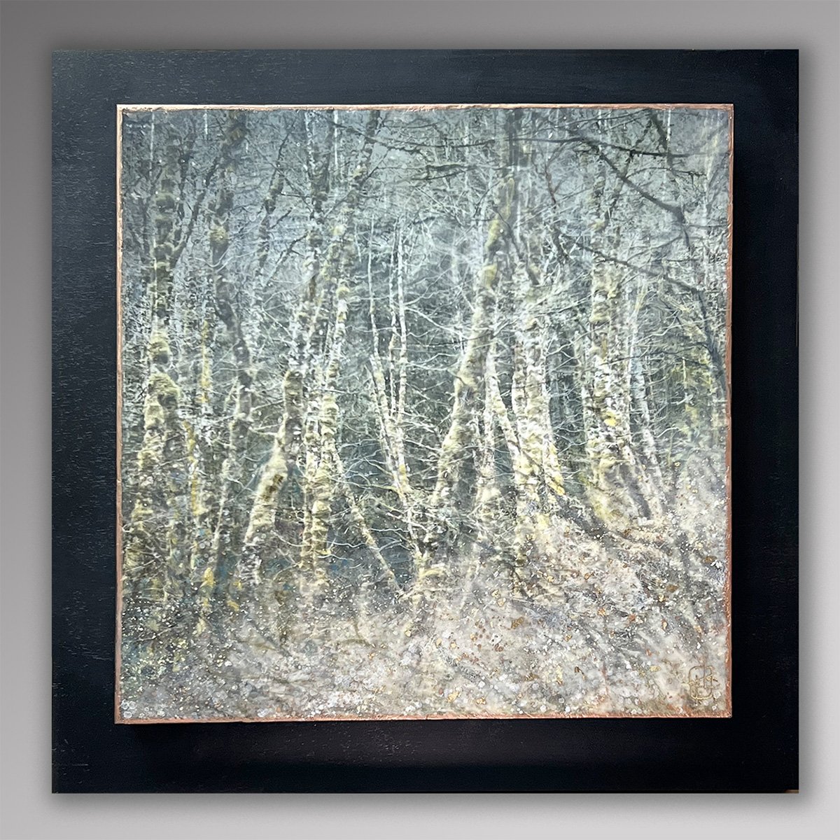 Bare Branch Beauty 2, 20x20 Photo Encaustic, $295 SOLD