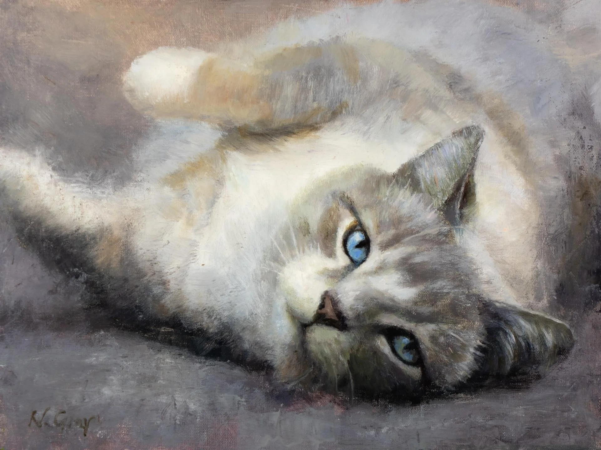Winston the Cat, 9 x 12 oil, $700 by Naomi Gray