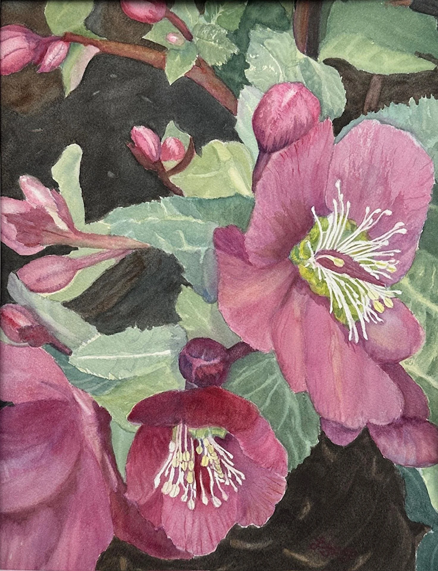 Lynn Fargo; Winter Blooms, 14x11 watercolor, $400