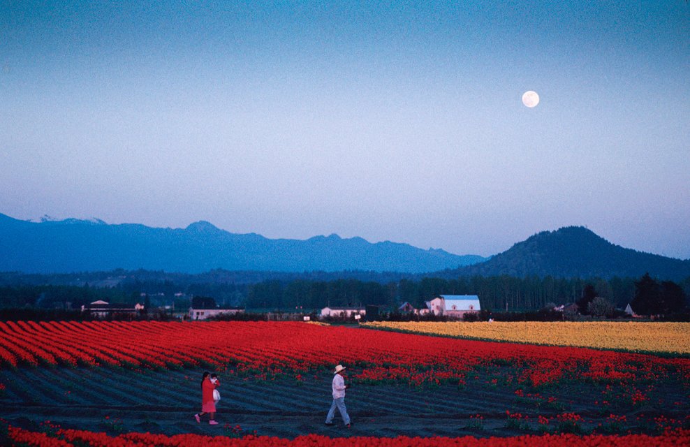 Evening Walk, 12X18 float frame, $425