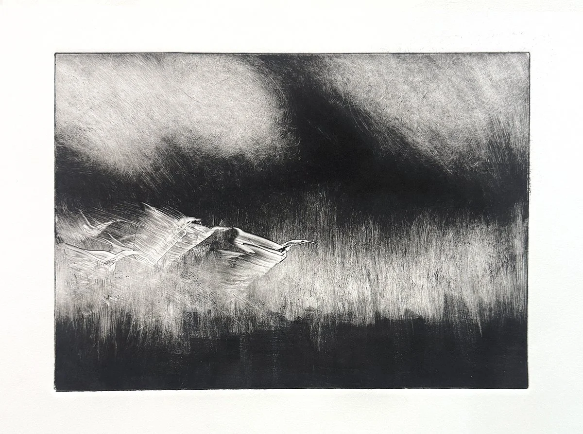 Monotype 345, 10x14 monotype, $250