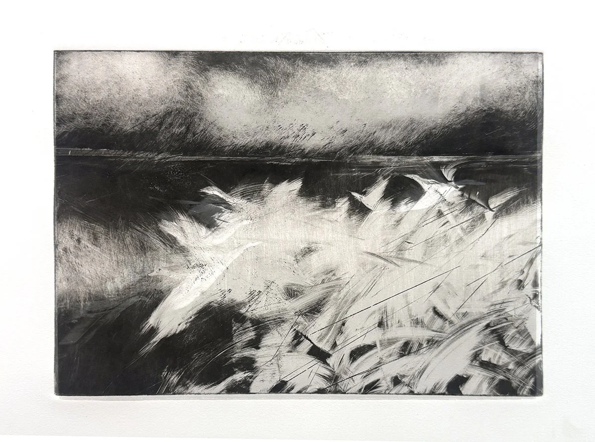 Monotype 346, 10x14 monotype, $250