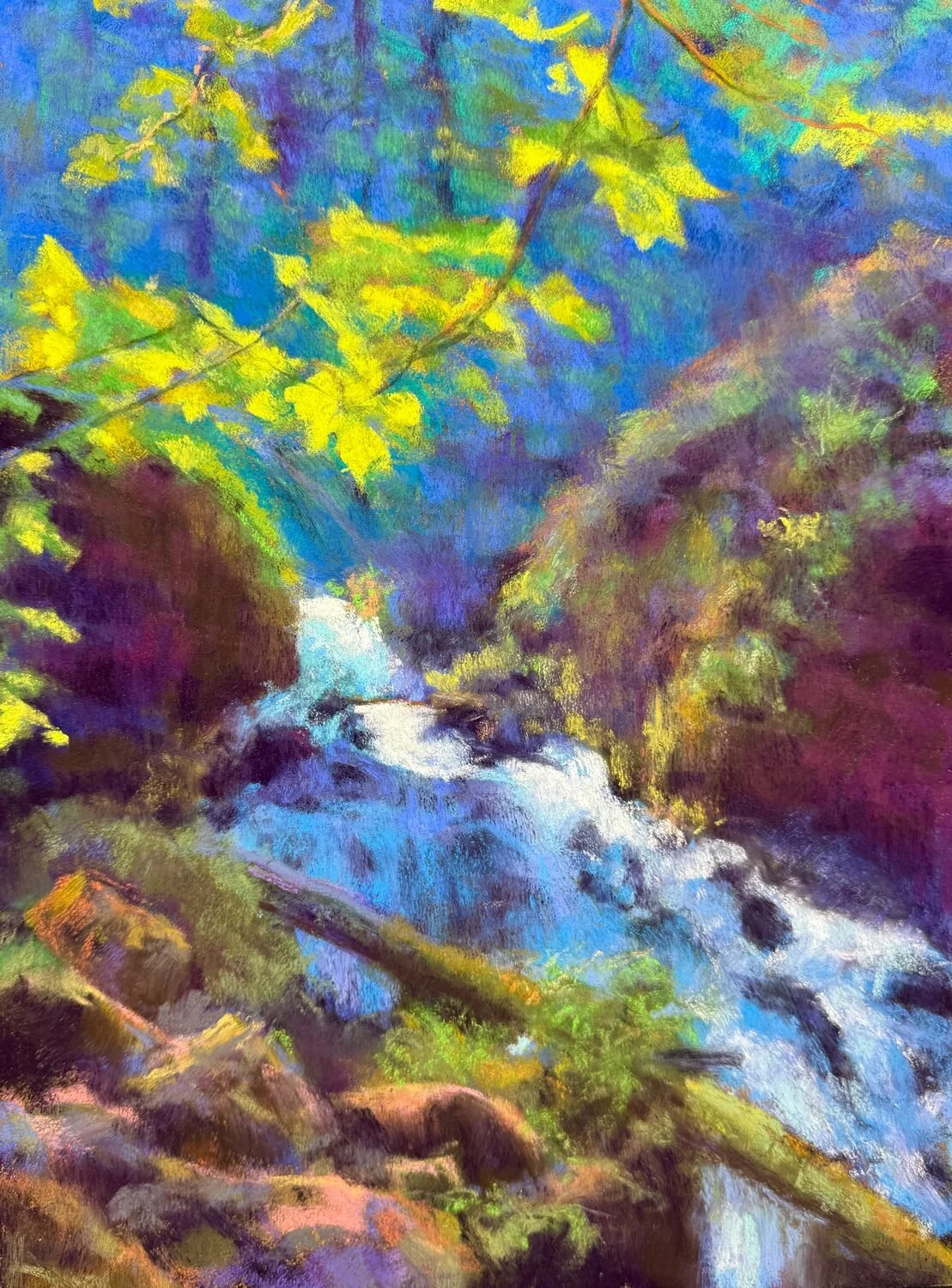 Janice C Carlton - Where the Light Falls; 22 x 18 pastel, $750