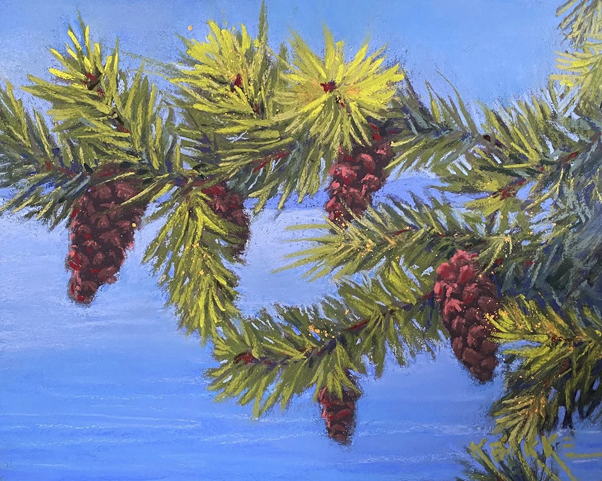 What Fir?, 8x10 soft pastel, $250