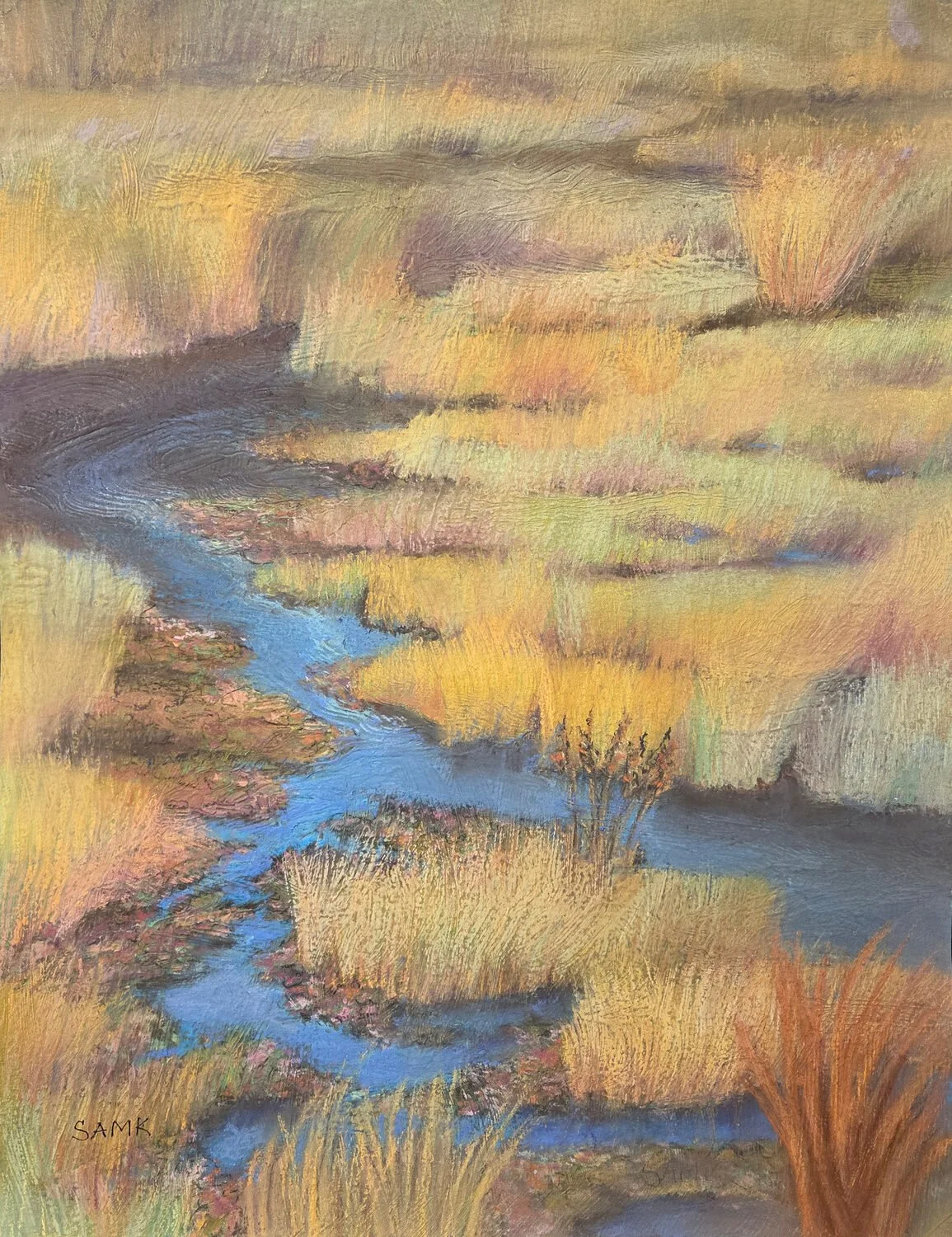 Anne Moore Knapp - Braided Channels; 20 x 16 pastel, $350