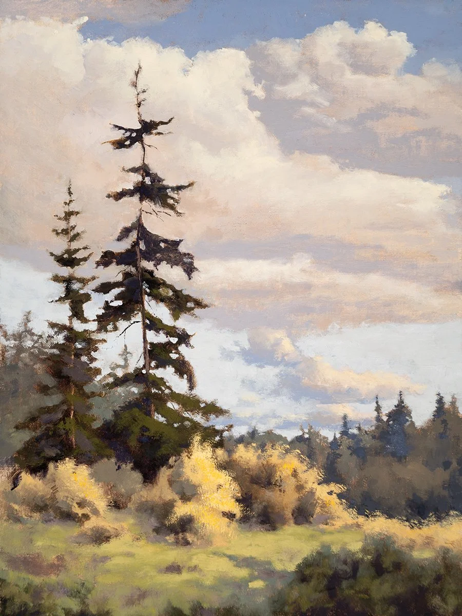 Where Trees Meet the Sky, 12x16 oil, $700