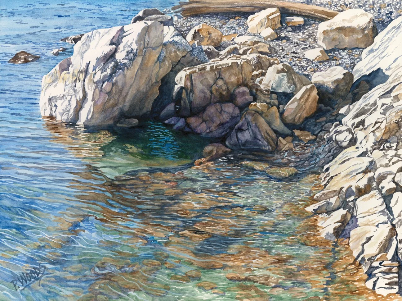 A landscape focusing on a rocky pacific northwest shoreline with kelp and sunshine in a realistic style