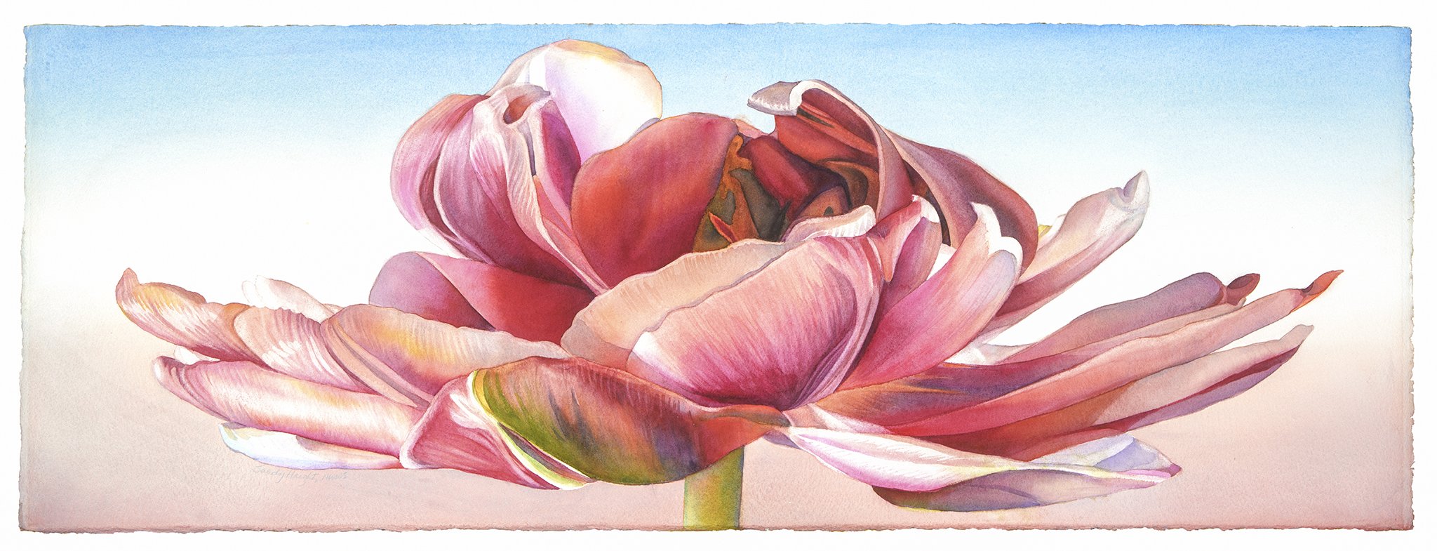 Open Hearted, 15x41 watercolor, $2250