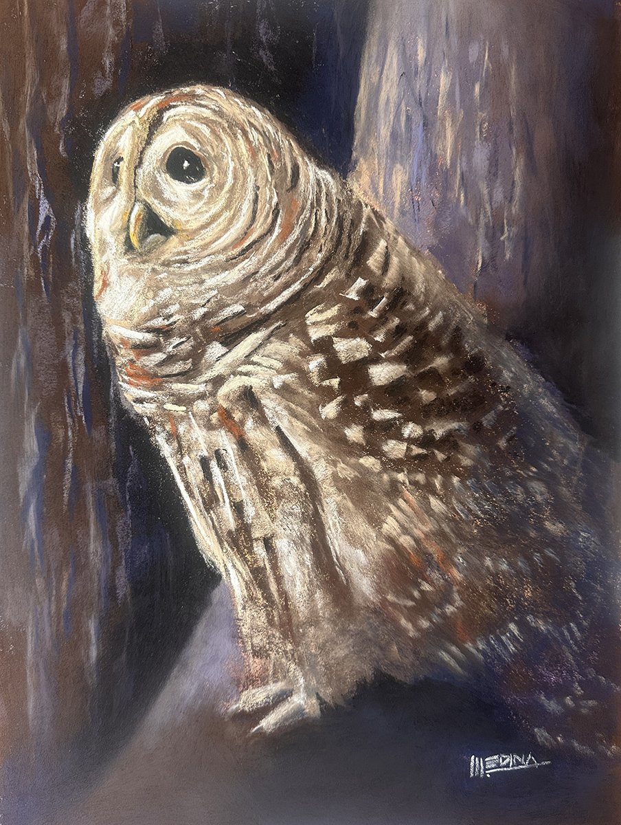 Whispers of the Woods, 16x12 pastel, $750