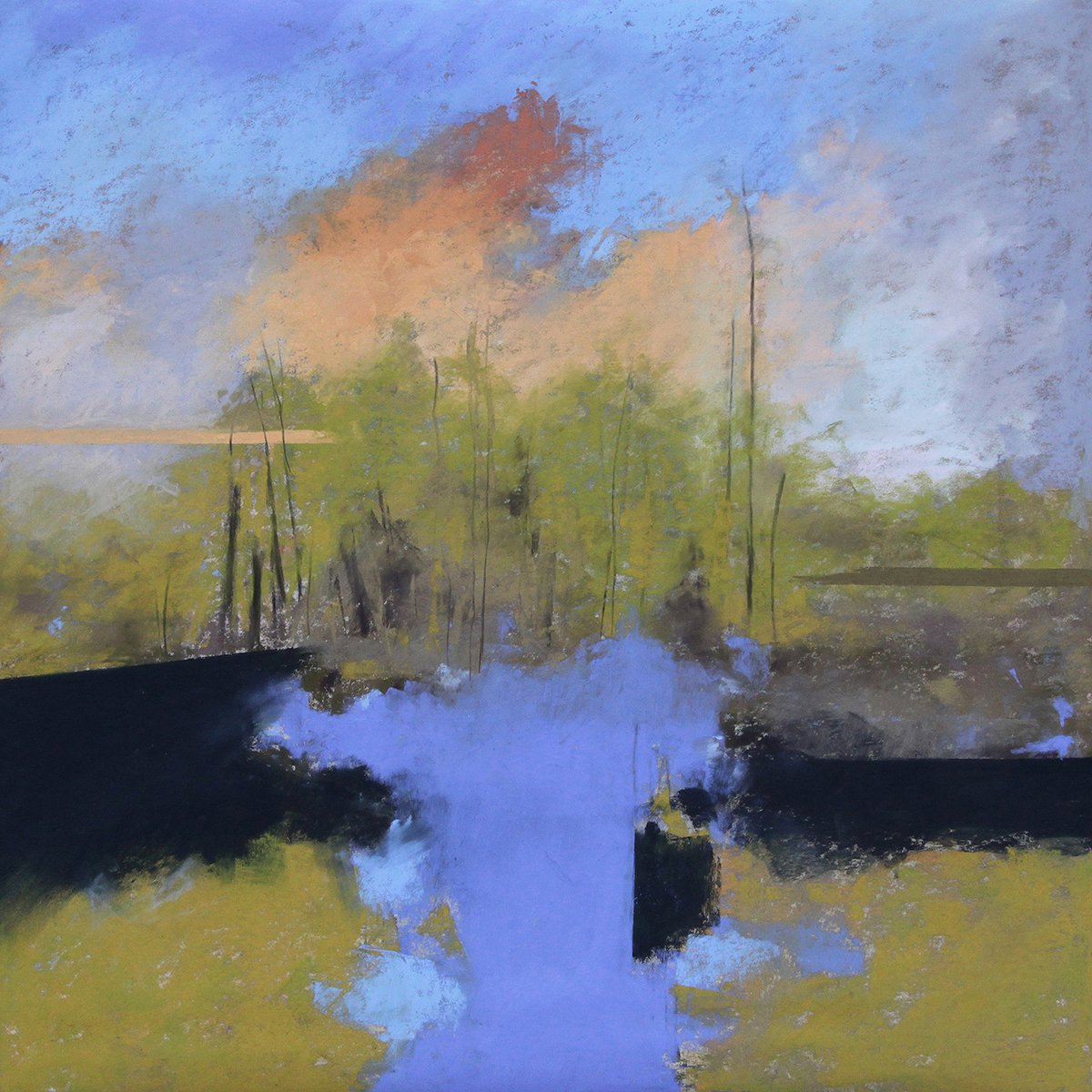 Wetlands, 18x18 soft pastel, $1400