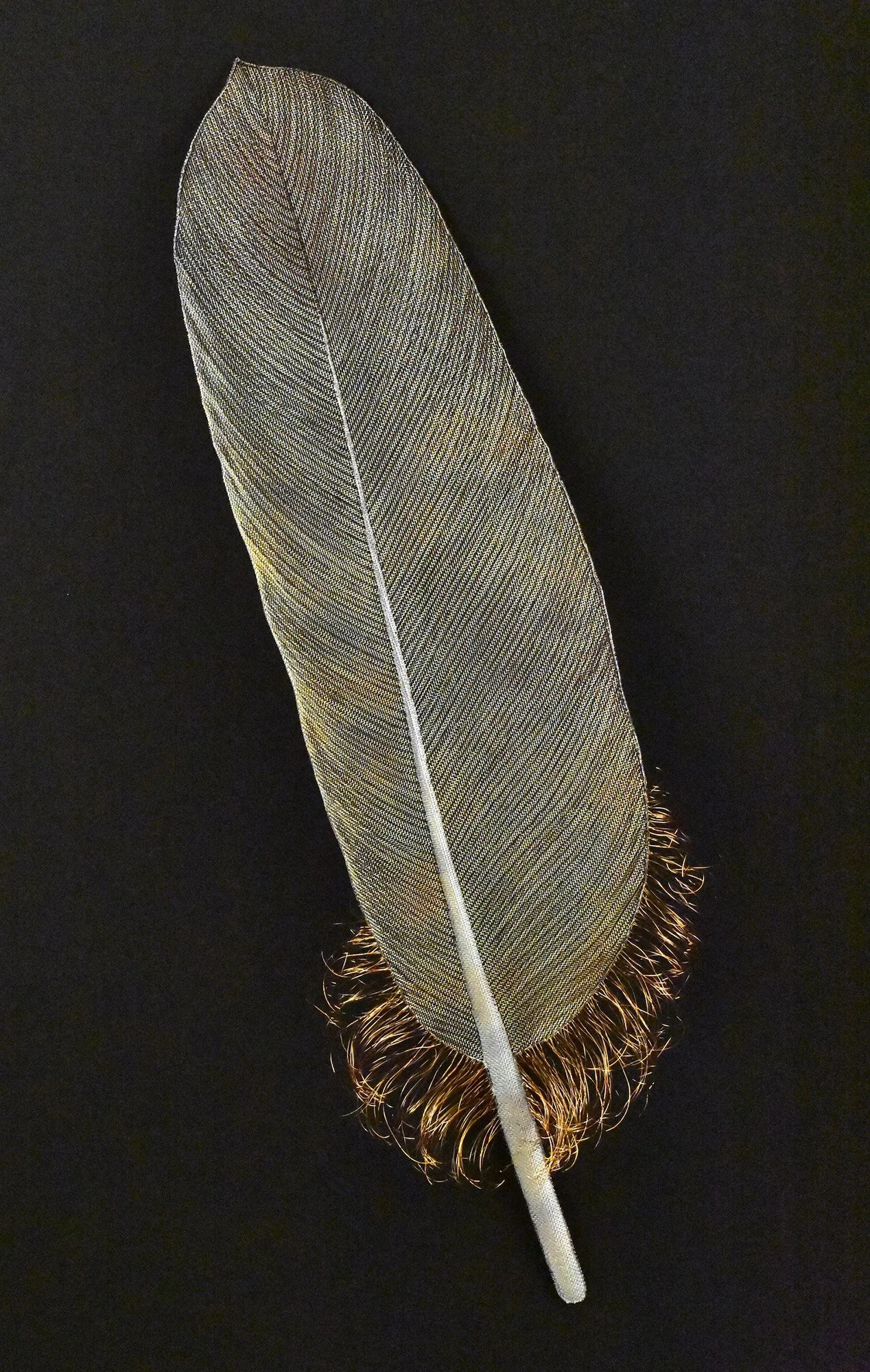 Eagle Feather, bronze mesh, copper wire and acrylic medium, 36x12x4,  $1800