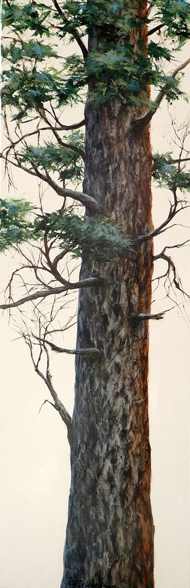 Silent Fir, 30”x10” acrylic, $950