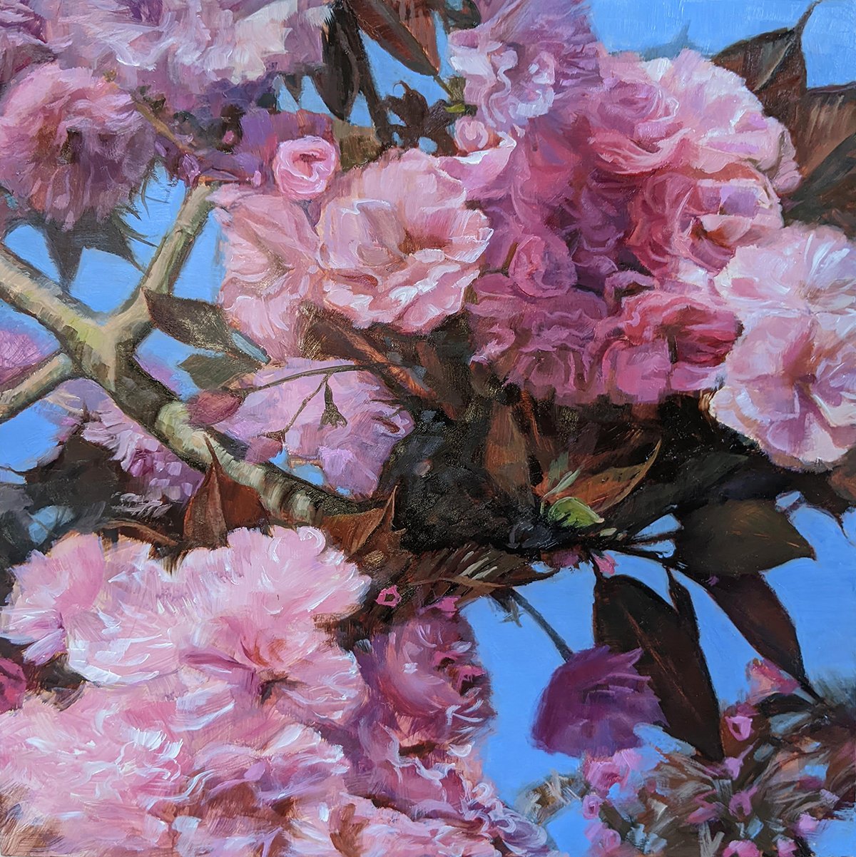 Revival, 12" x 12" Oil on Board, $575