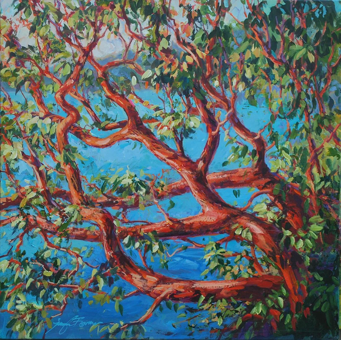 Madrona, 30x30 acrylic, $2100