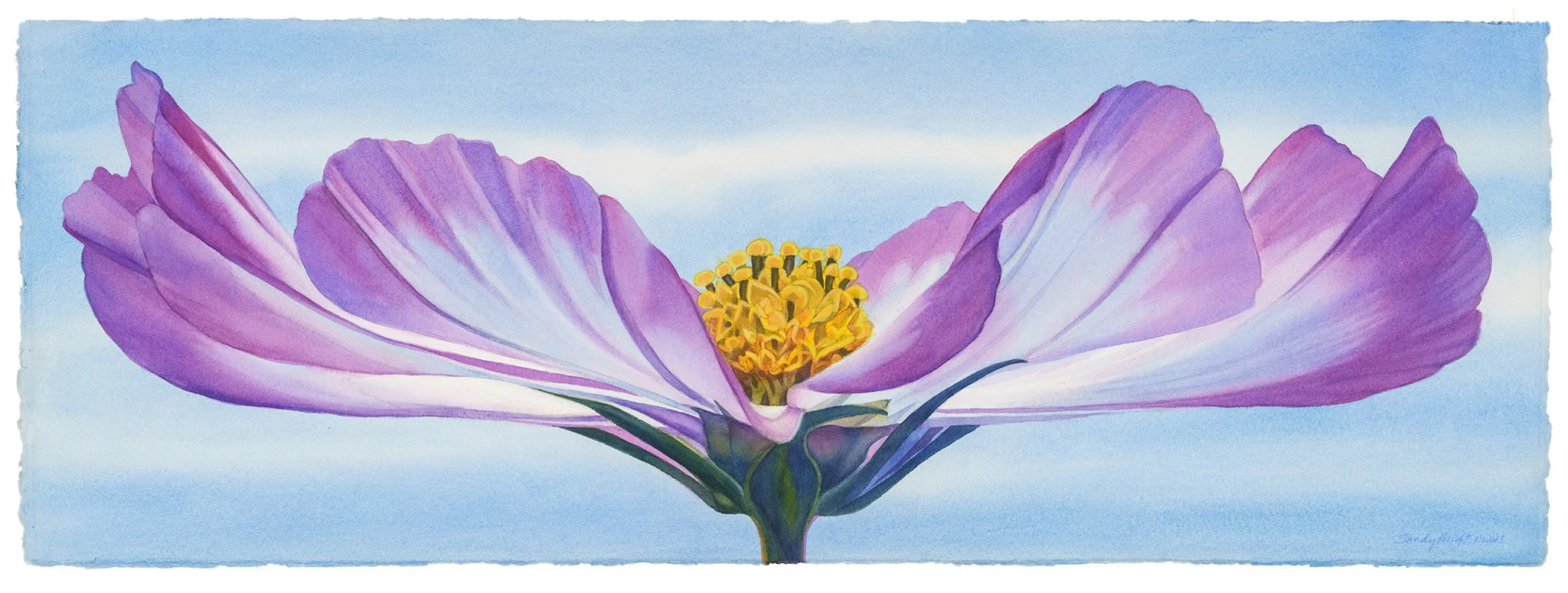 Levitation, 15x41 watercolor, $2250