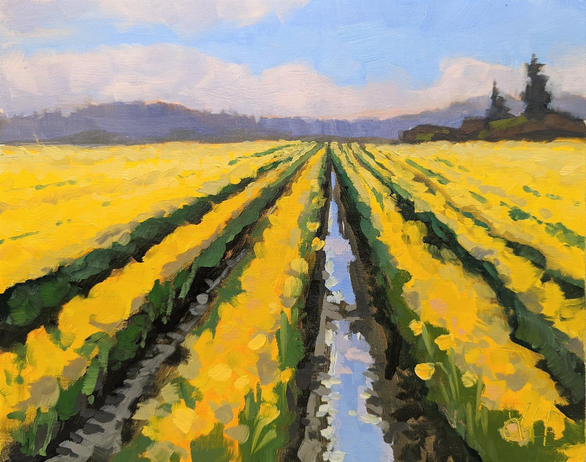 First Field in Bloom, 8 x 10 oil, $260 by Lorraine Goddard