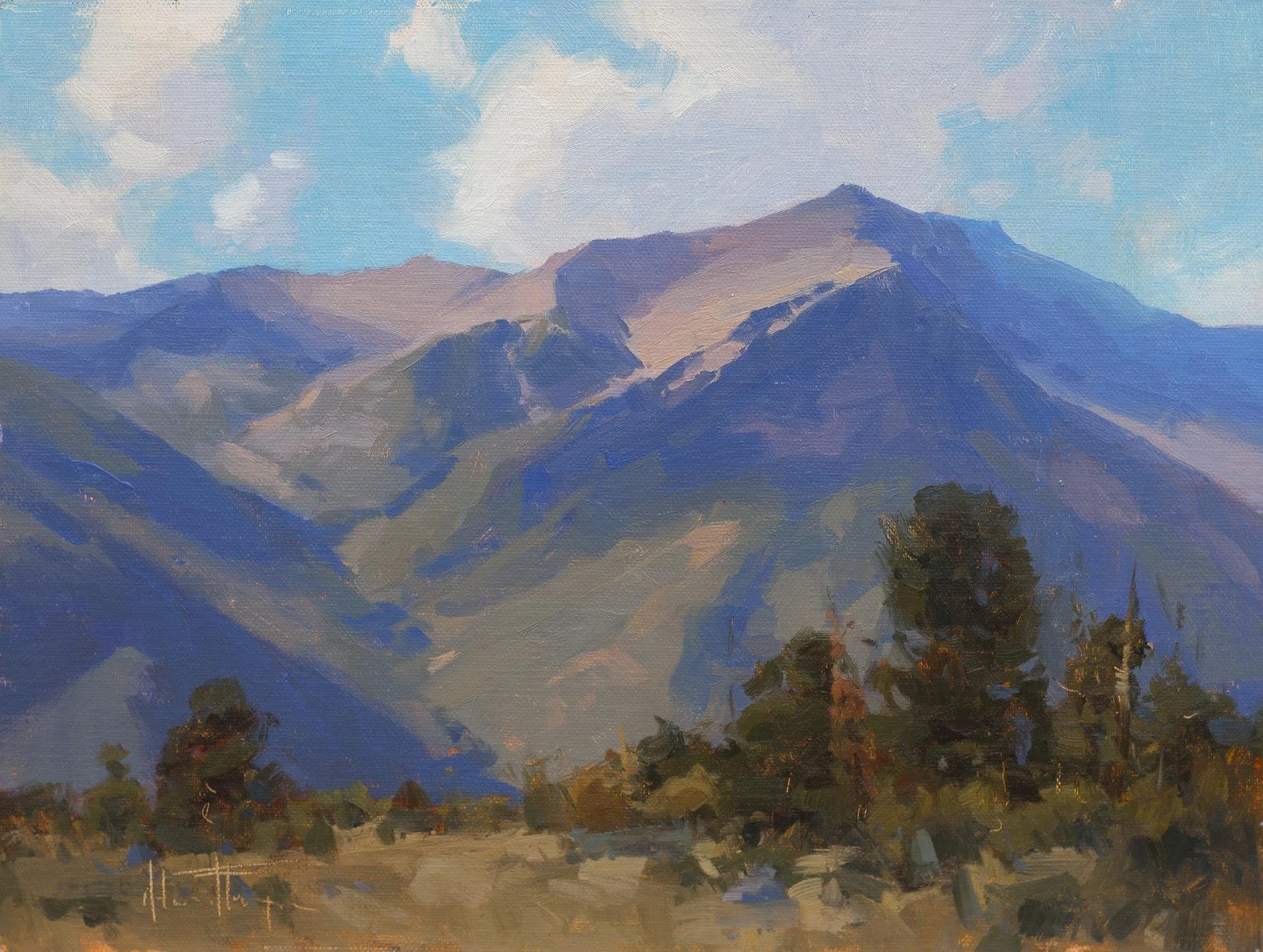 Melanie Thompson - Altitude;  8x10 oil, $650