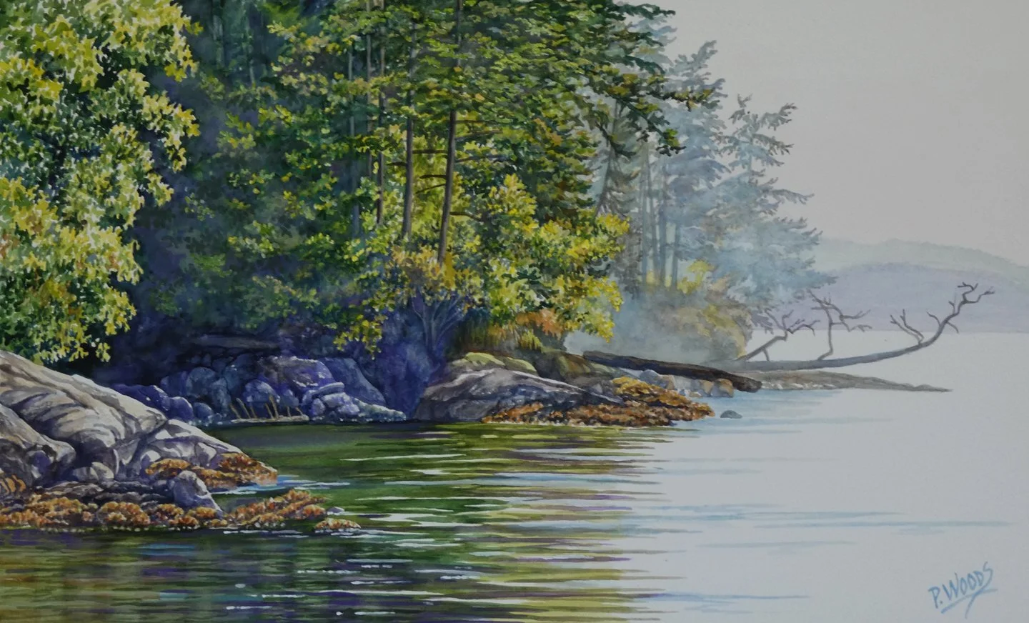 Washington Park Summer, 13 x 25 watercolor, $1040