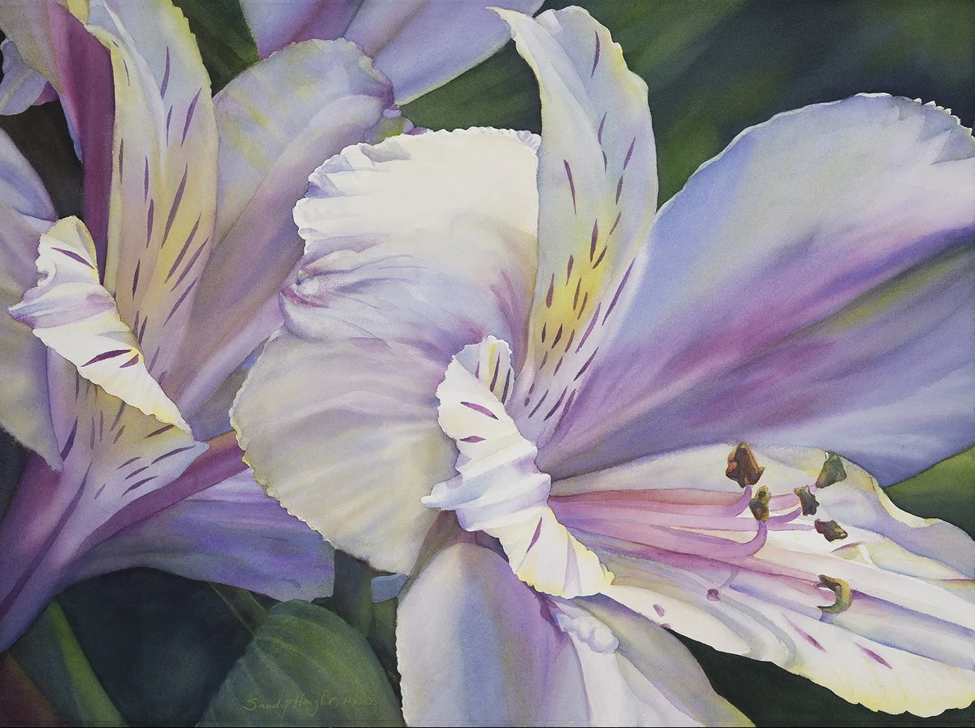 Astro Merriment, 22x30 watercolor, $3500