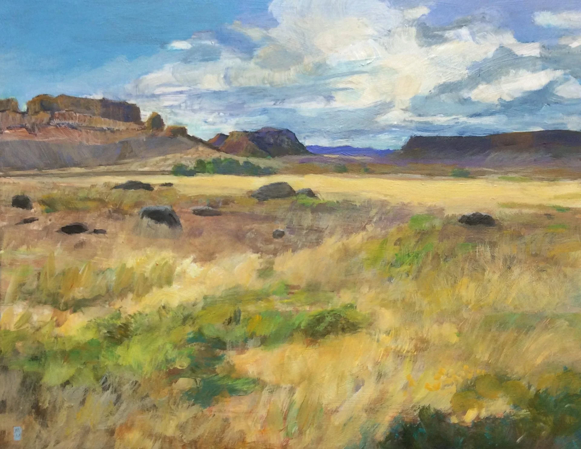 Marian Morris; Dry Falls Vista, 11x14 acrylic, $350 SOLD