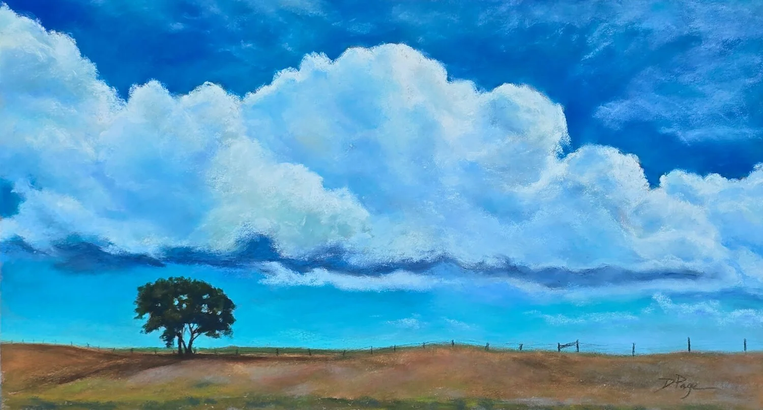 Denise G. Page - Prairie Song; 13 x 22 pastel, $975