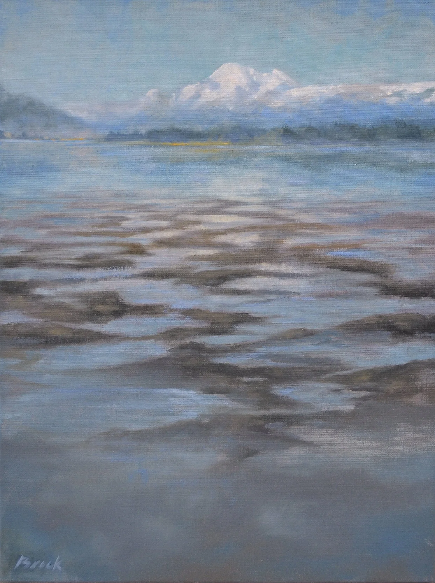 From Sea Level, 16x12 oil on linen, $800