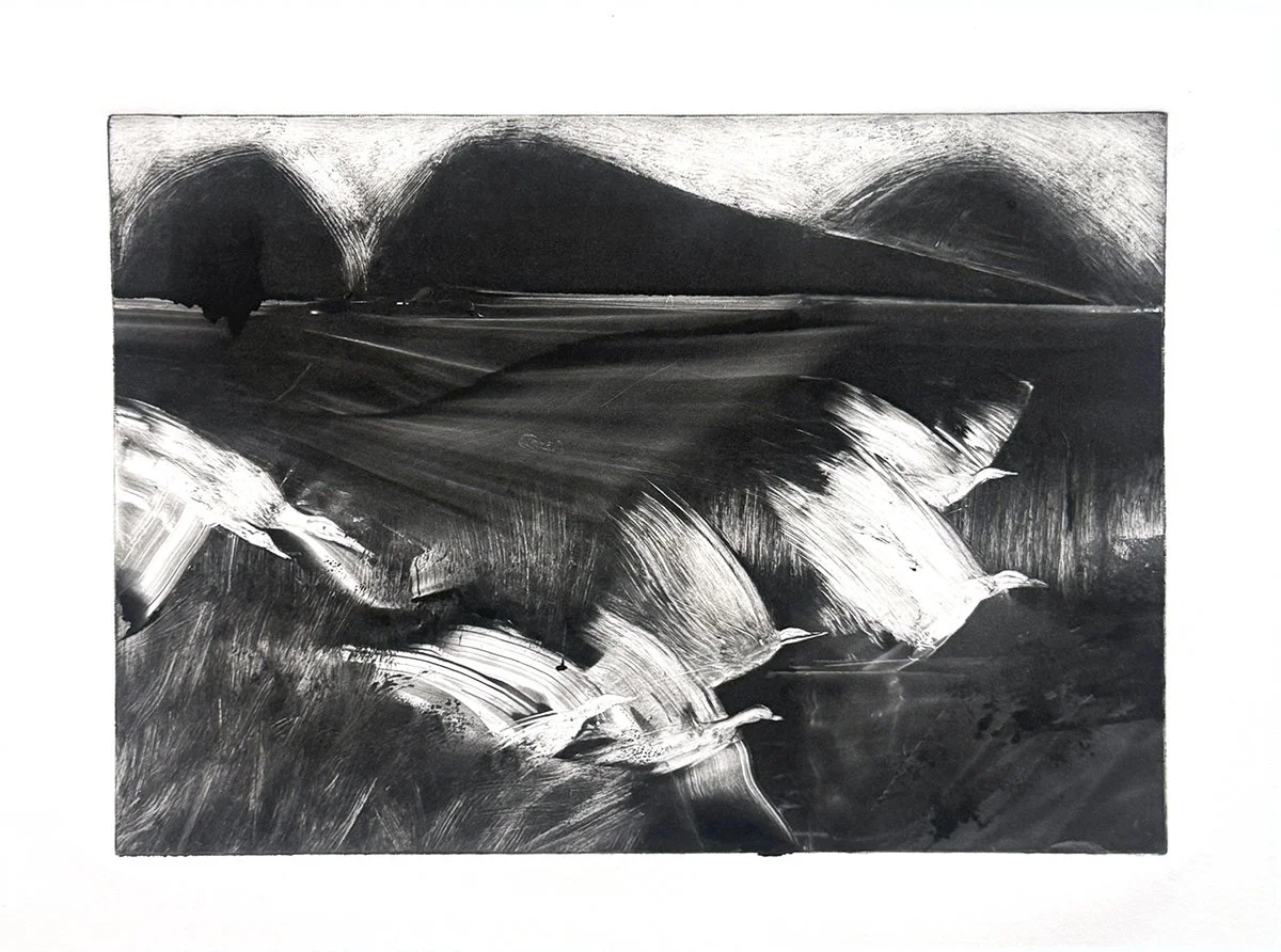 Monotype 348, 10x14 monotype, $250