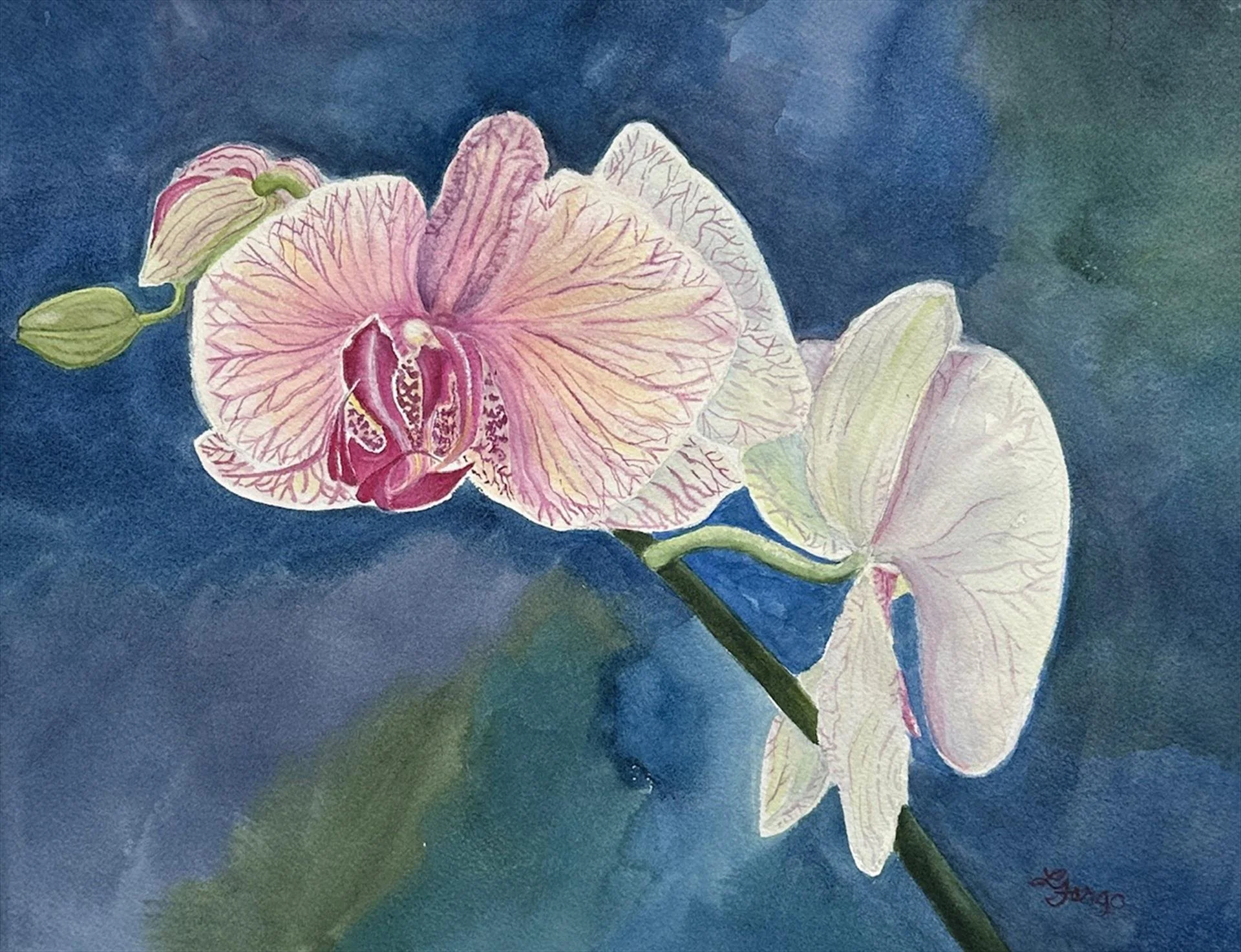 Lynn Fargo; Moody Orchids, 11x14 watercolor, $400