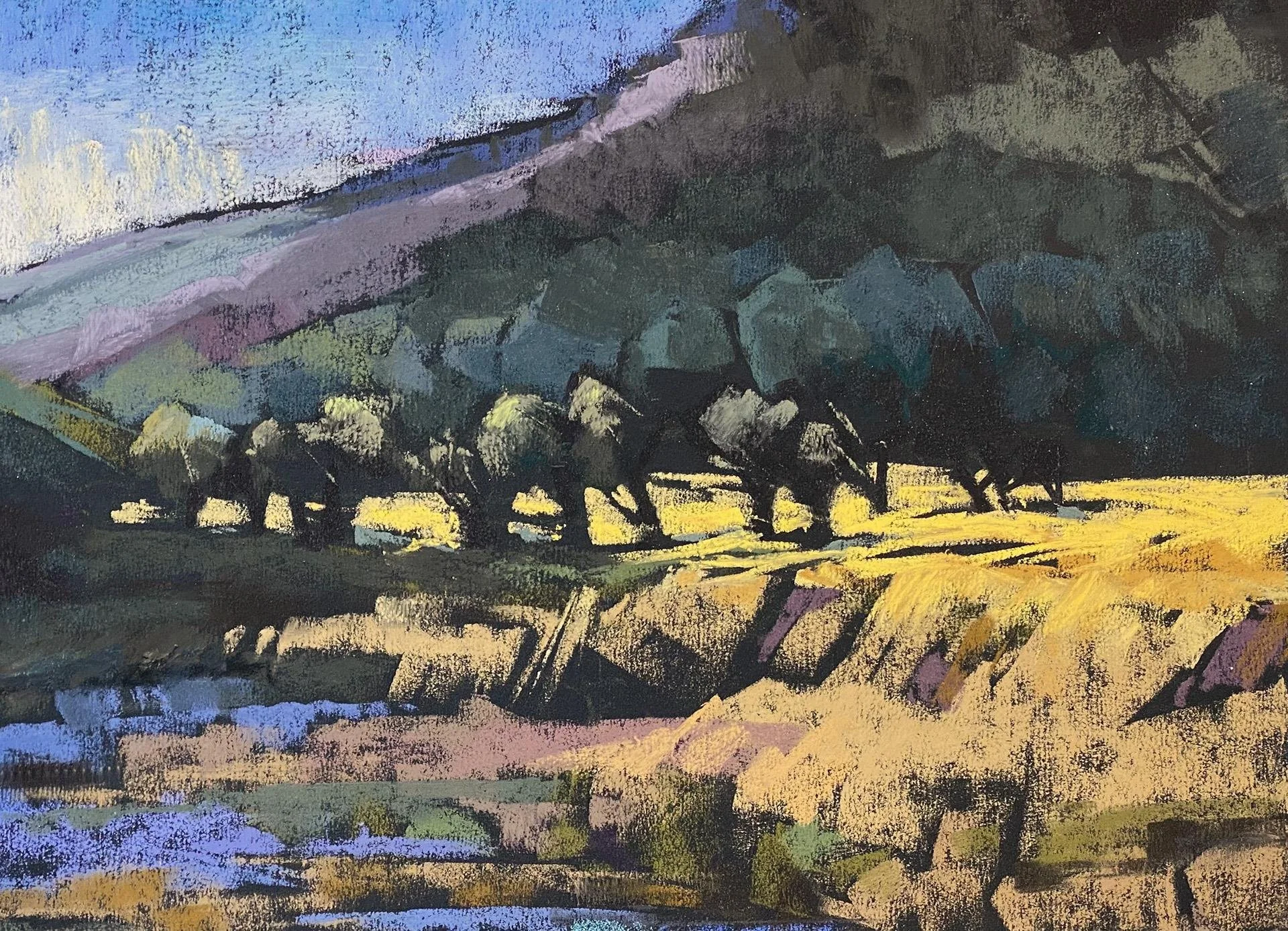 Janice Wall; Last Light, 9x12 soft pastel, $700