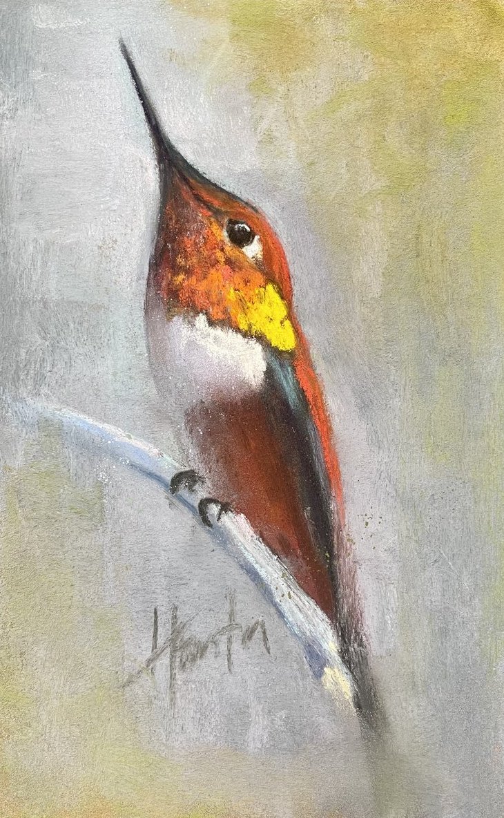 Mindful Rufous, 5x8 pastel, $500