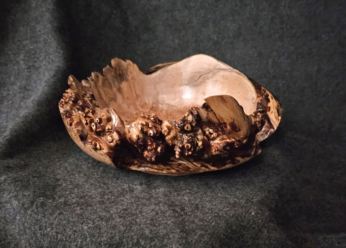 #3212 Maple Burl, 9X4, $900
