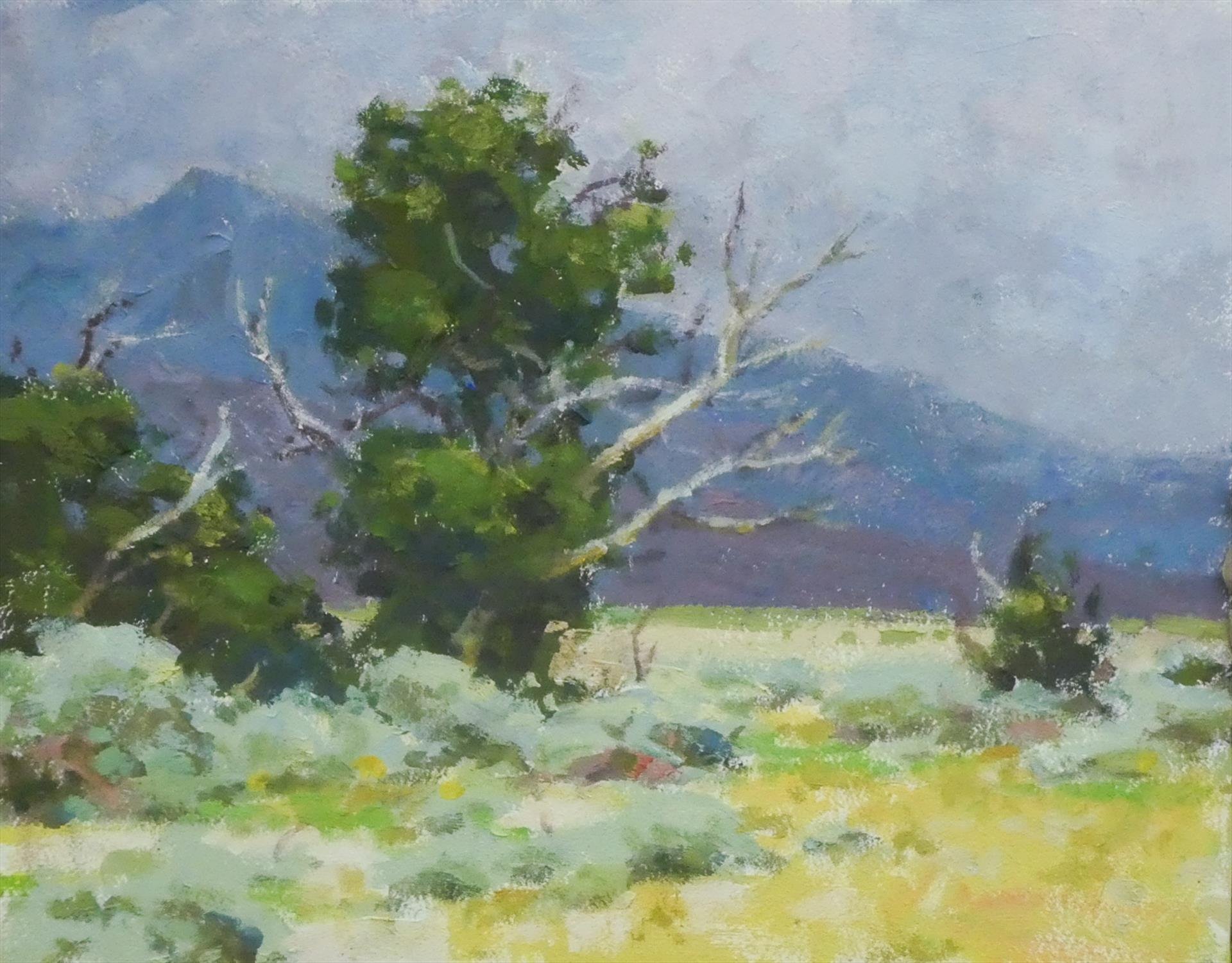 "Passing Storm" by Ned Mueller, 8x10 oil, $1100