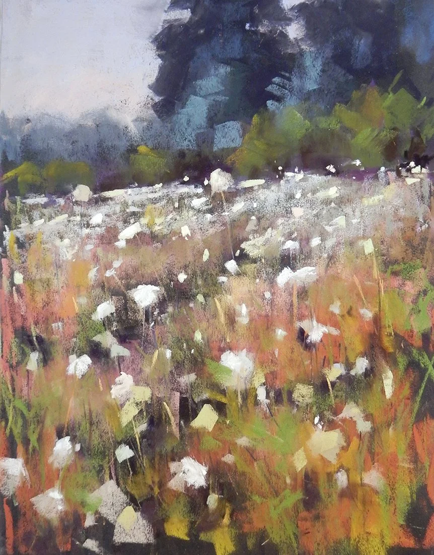 Early Morning Bloom, 12x9 pastel, $610