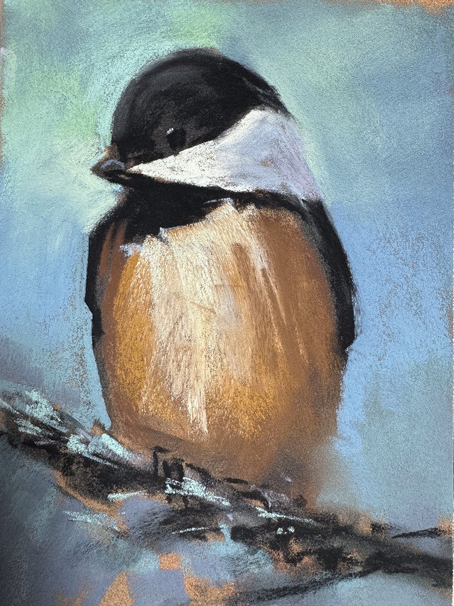 Patient Chickadee, 6x8 pastel, $500