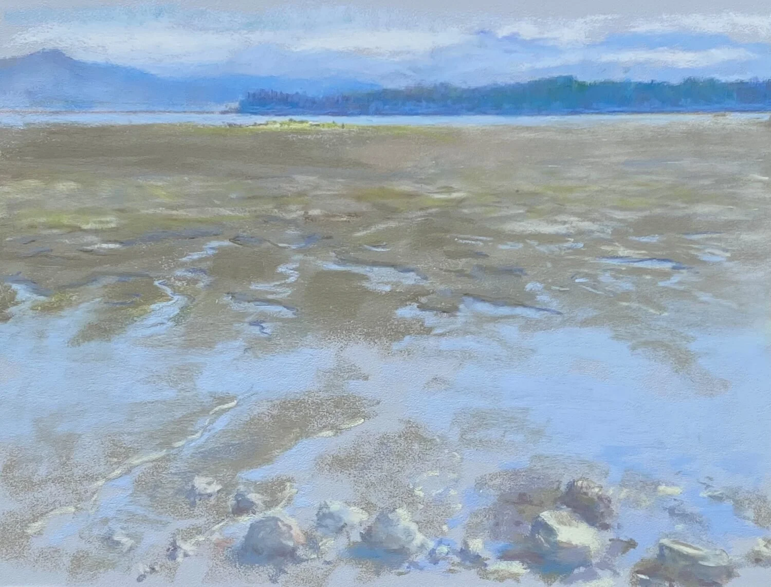 Anni Leedy - Tide's Out; 24 x 27 pastel, $1200